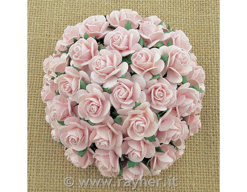 ROSE APERTE, SET 10, 10MMROSA CHIARO