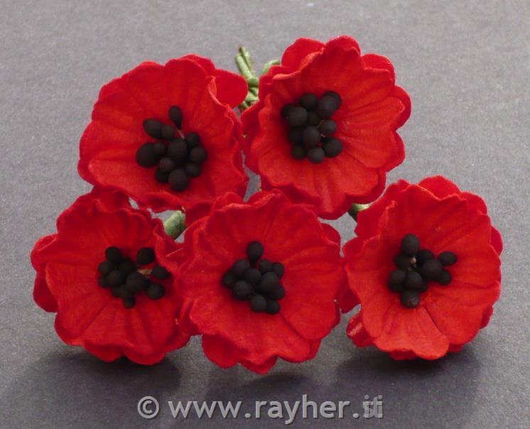 Two Tone Paper Flowers