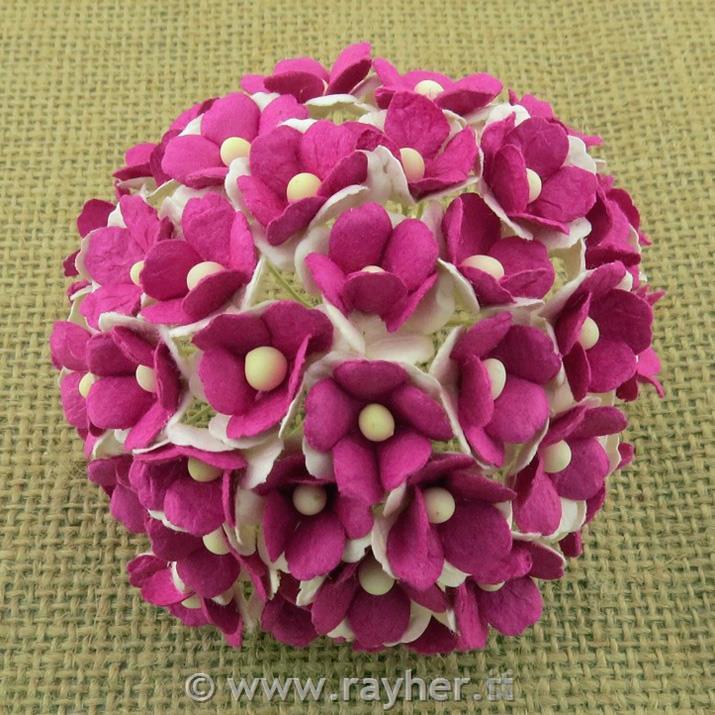 Two Tone Paper Flowers