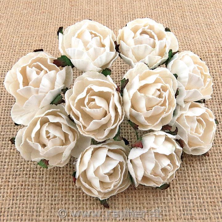 ROSE APERTE, PEONY, SET 5BIANCO