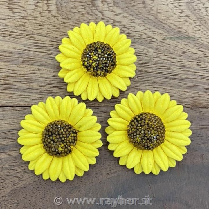 Sončnice cvetovi, set 5, 50mm