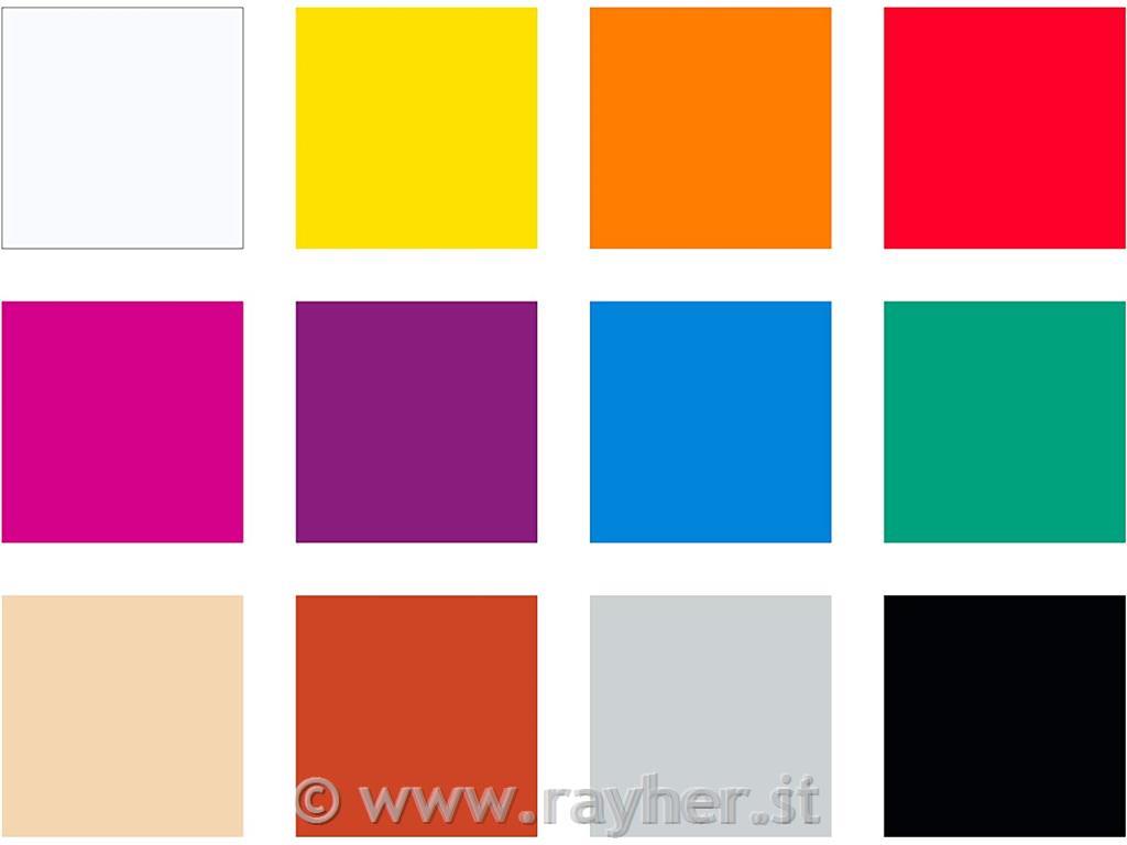 FIMO Professional set Basic 12x25g