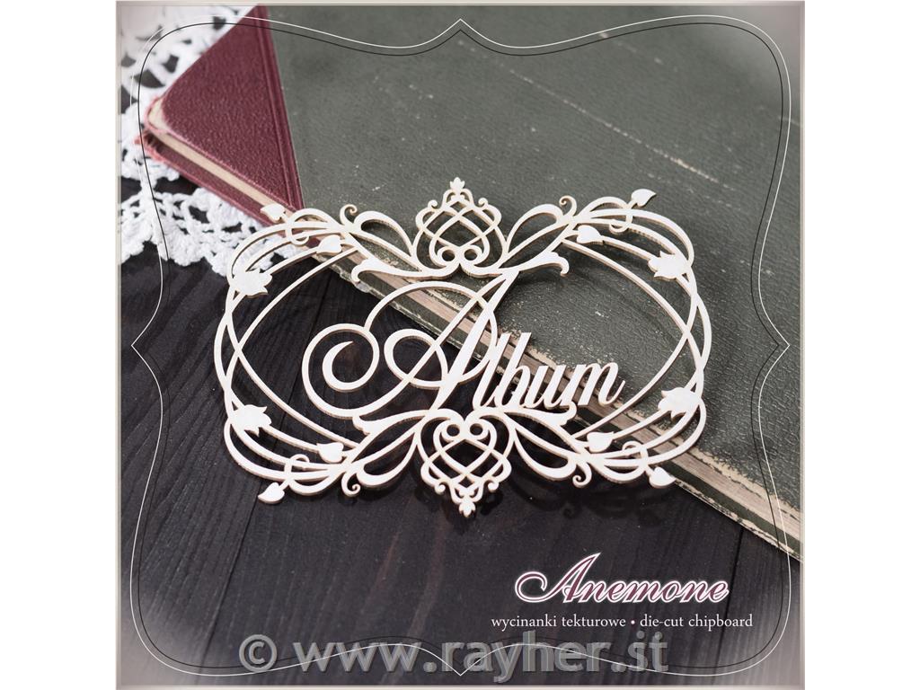 IZREZ IZ LEPENKE, NAPIS ALBUM