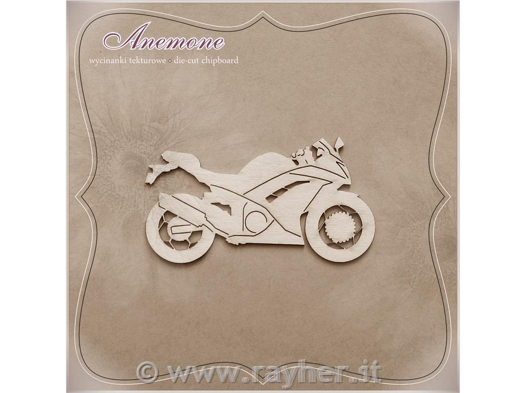 INTAGLI DI CARTONLEGNO, MOTO