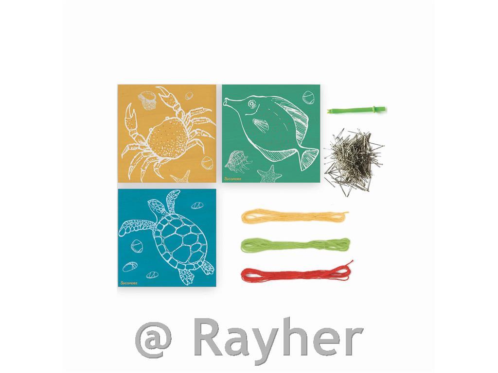 Set creativo Lovely Box, String Art, Oceano