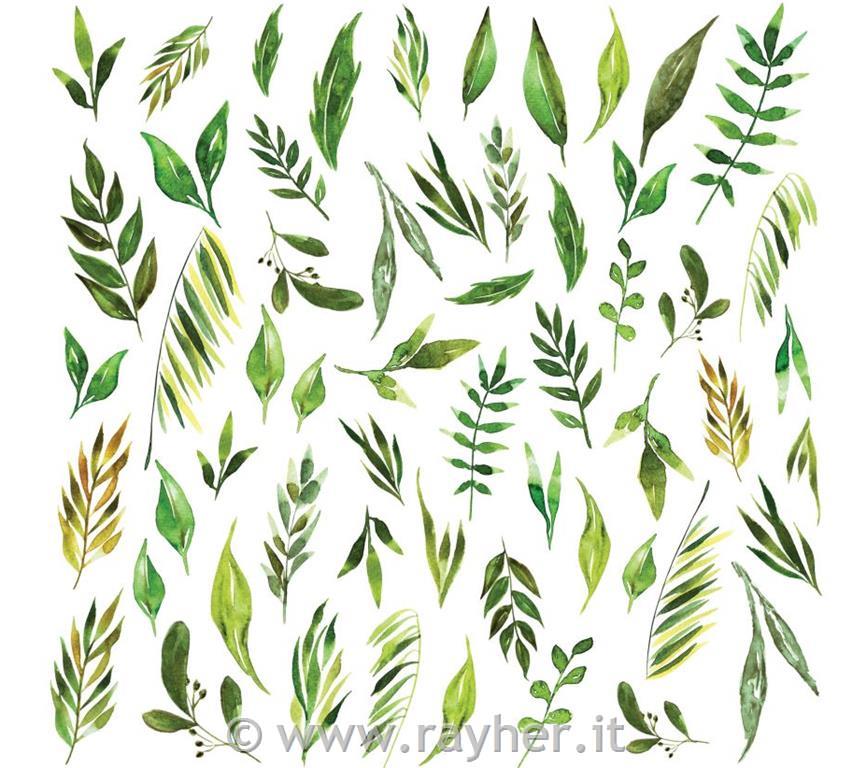 Carta scrapbook, 30x30cm, 250gsm