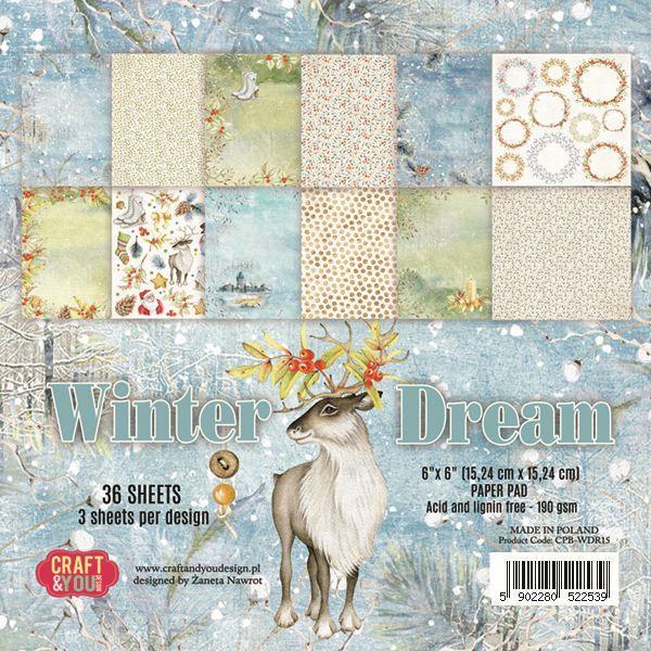 Set di carta 15,2x15,2 cm Winter Dream