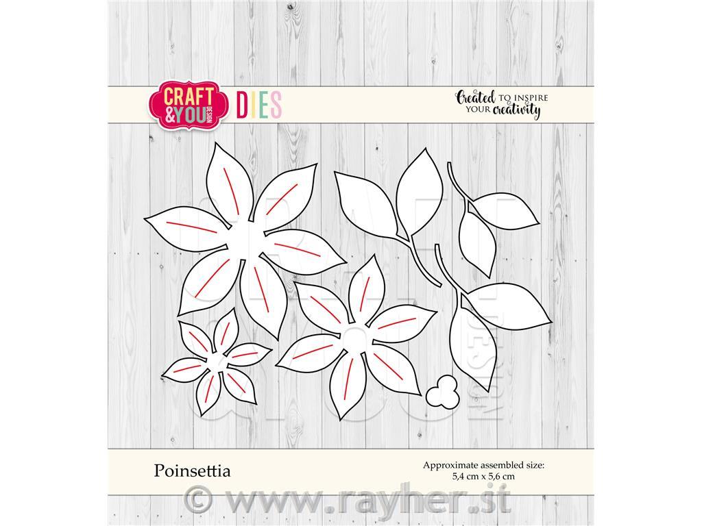 Fustella Craft and You, Stella NataliziaGrande