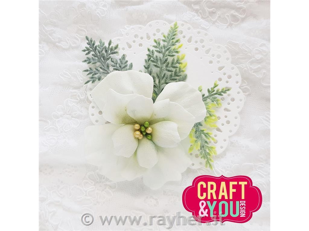 Fustella Anemone Blossom