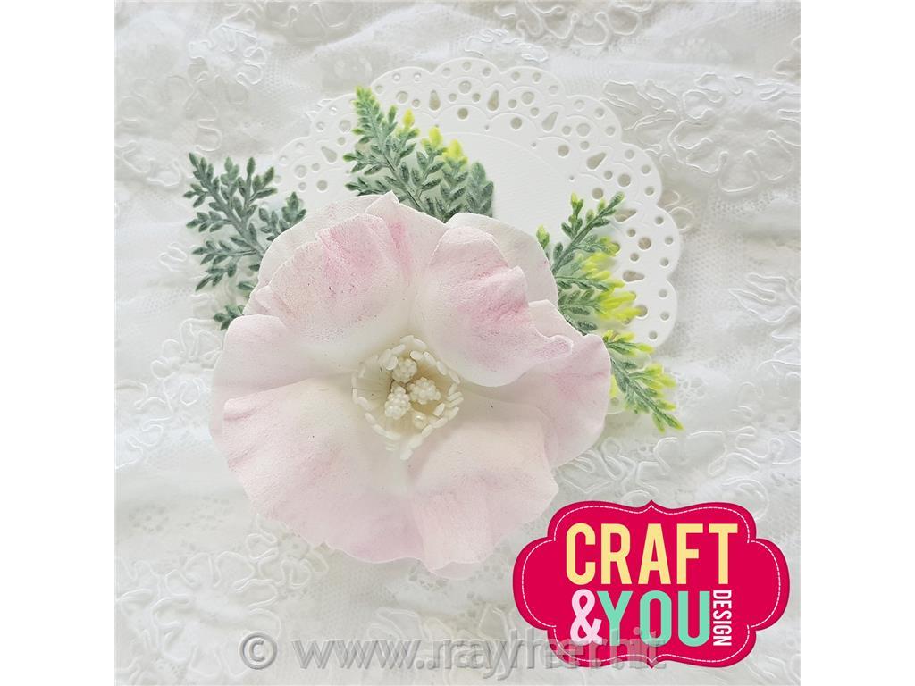 Fustella Anemone Blossom