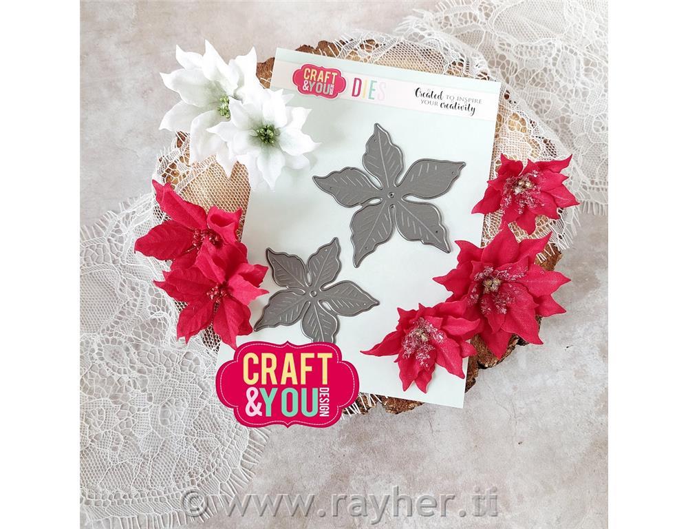 Fustella C&Y, Stella natalizia