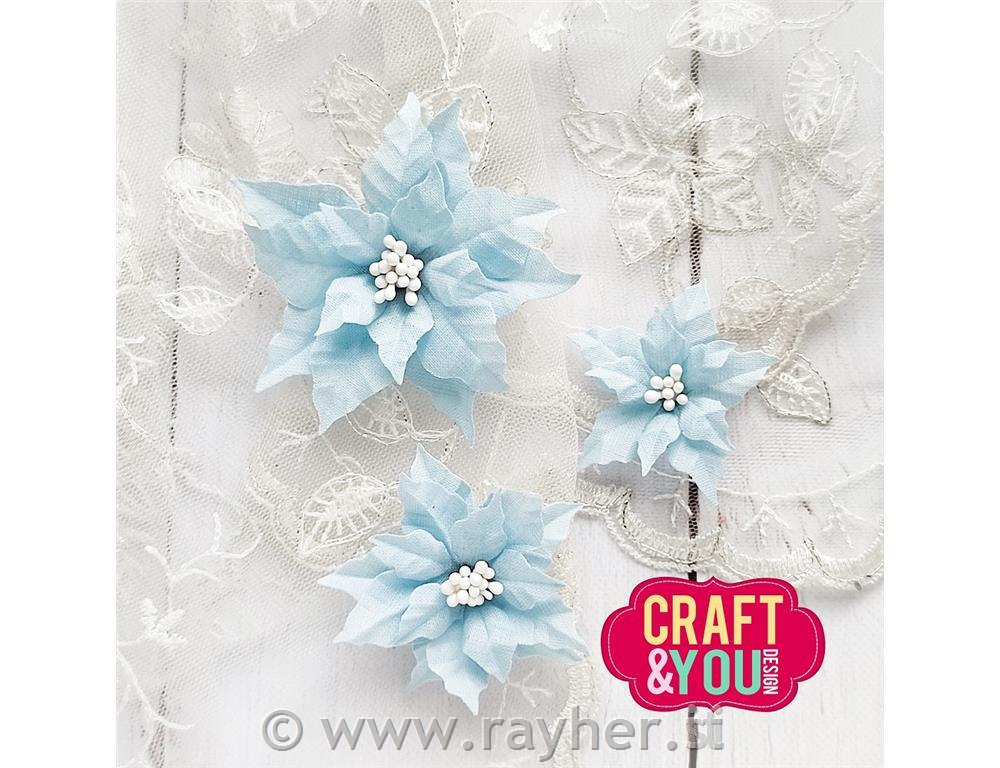 Fustella C&Y, Stella natalizia