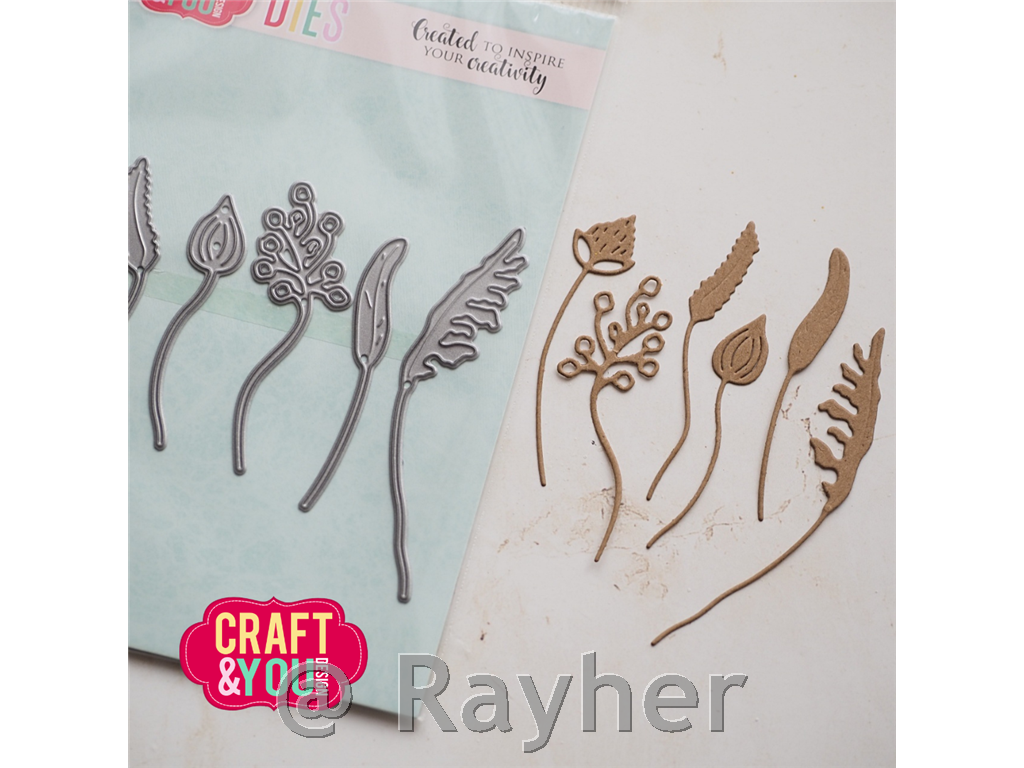 Fustelle Wildflowers