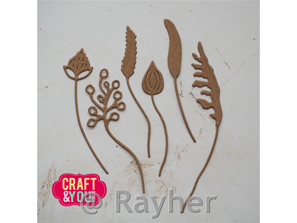 Fustelle Wildflowers