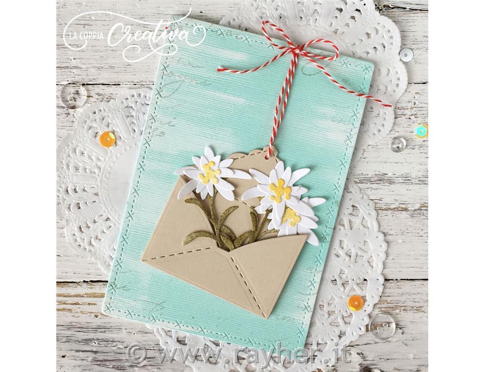 Fustelle Stella Alpina