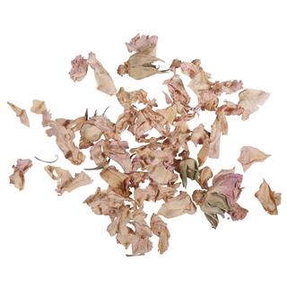 Fiori - petali rose rosabus.blis. 5g