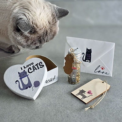 MUCKE S TRANSFER FOLIJO