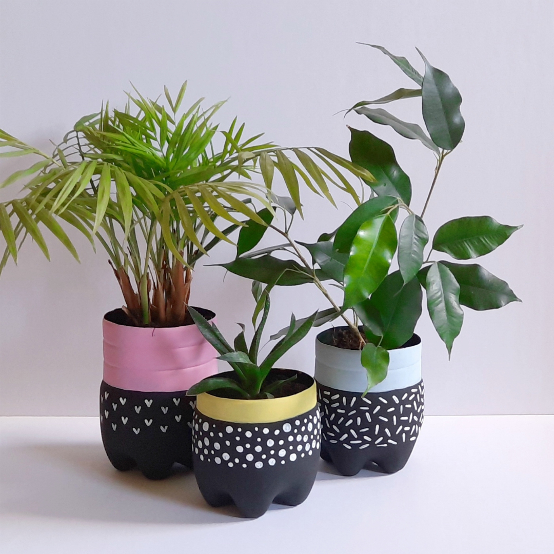 LONČKI ZA ROŽE IZ PLASTENKE