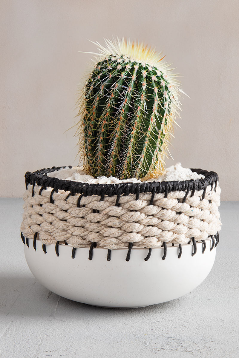 CIOTOLA IN RAYSIN CON CORDA DI COTONE